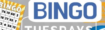 Bingo Tuesdays Featured Image